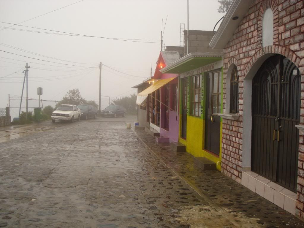 Hidalgo Hidalgo