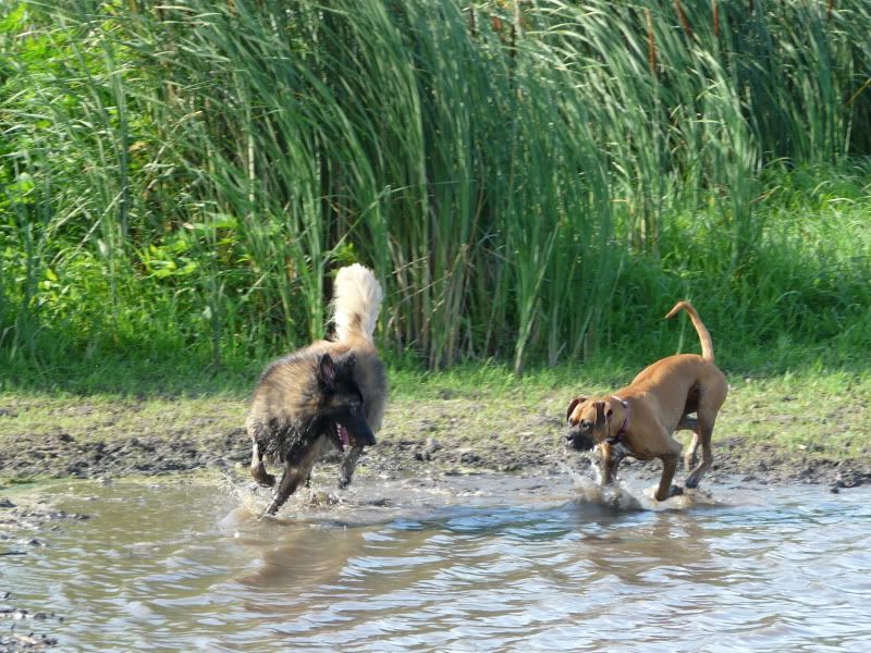 Brice and isis playing in the water
