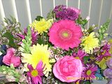 th_photos3158.jpg