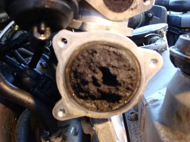 Nissan x trail egr valve cleaning #10