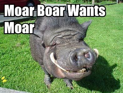 moar-boar-wants-moar.jpg