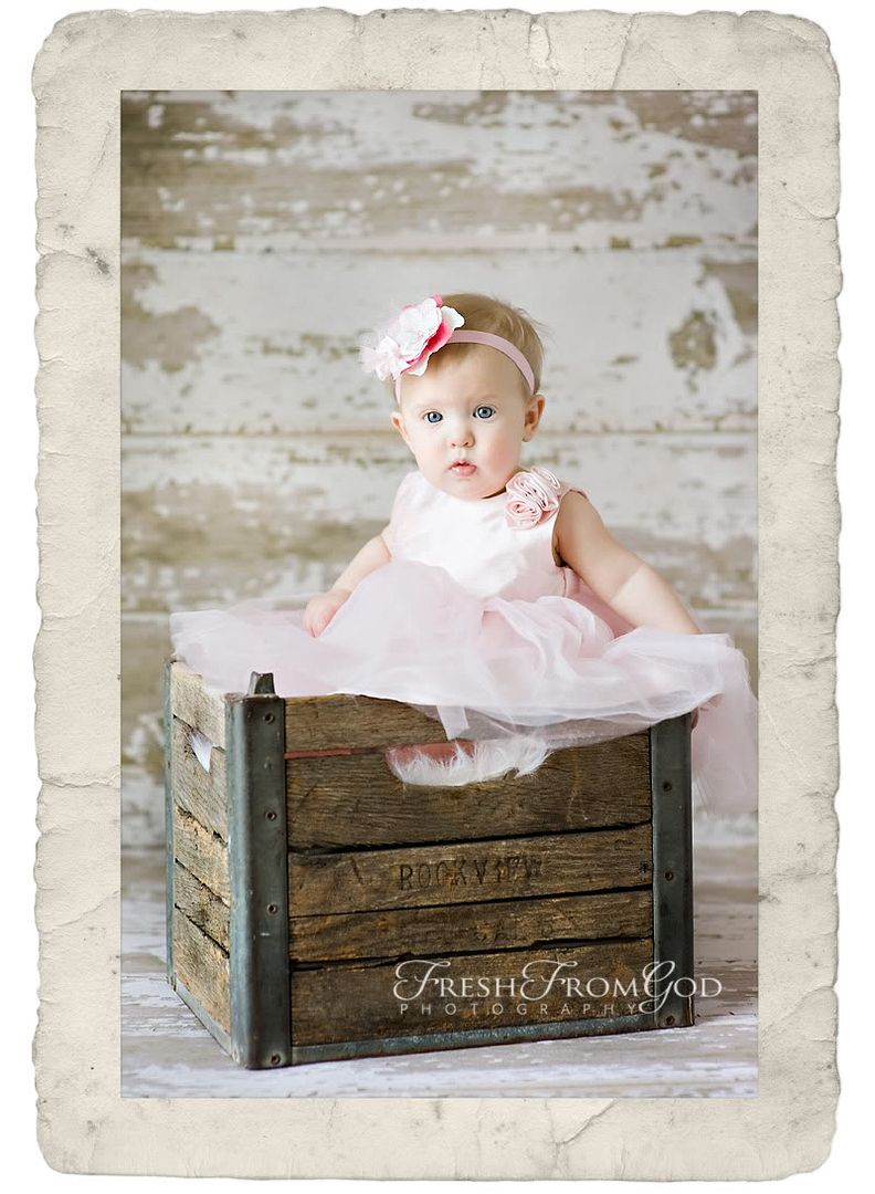 big bear photography