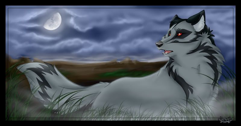 wolf.jpg blue wolf image by DragonMaiden