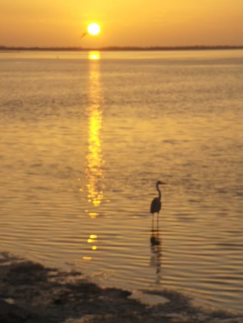 http://i294.photobucket.com/albums/mm120/TLC4me1995/HPIM7529.jpg