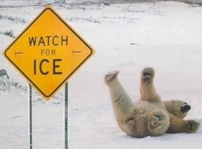 http://i294.photobucket.com/albums/mm120/TLC4me1995/funny_polar_bear_pic_img121.jpg