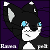 Ravenpelt Avatar