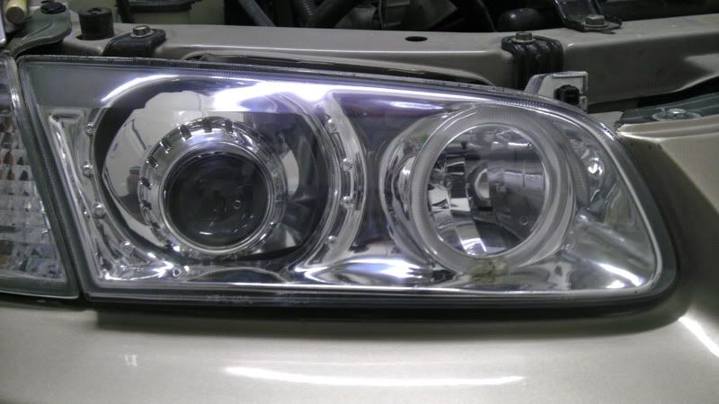 IMAG0138.jpg
