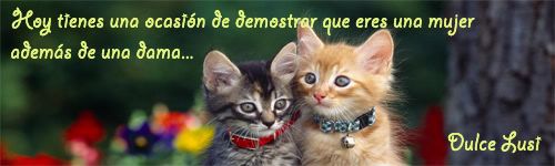 Imagen Enviada