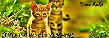 Imagen Enviada