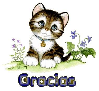 GRACIASGATICO.jpg picture by sonadora54