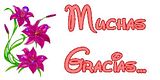 MUCHASGRACIASFLORES.jpg image by sonadora54