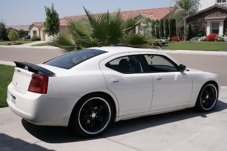 wtb r/t road and track rims