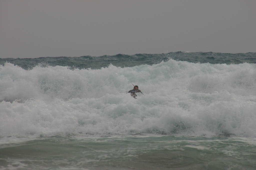 IMG_1155.jpg