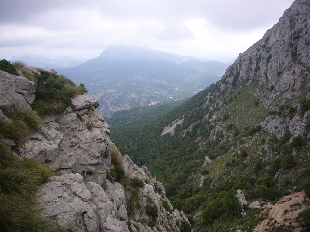 P1010024.jpg