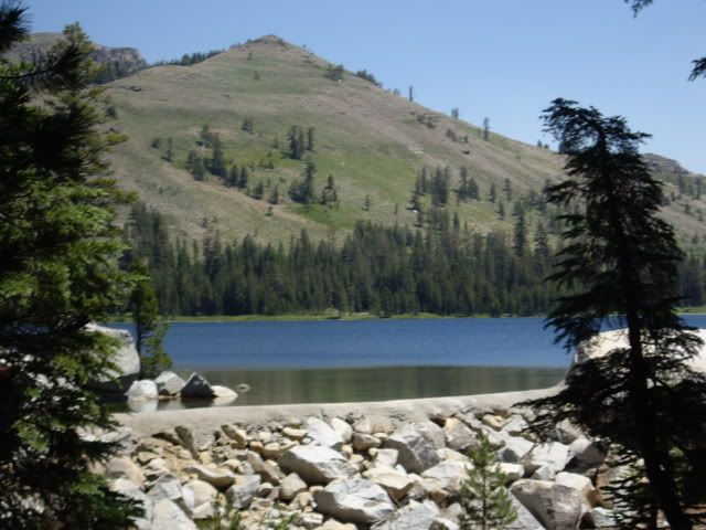 IMGP0649-1.jpg