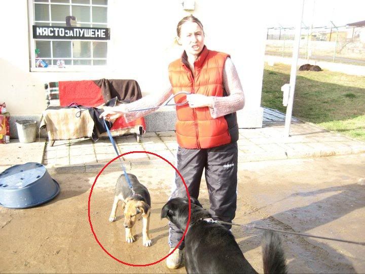 Качена снимка