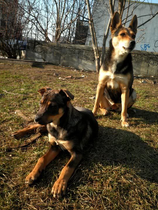 Качена снимка