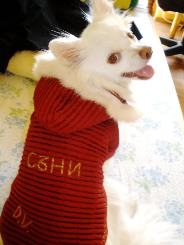 Качена снимка