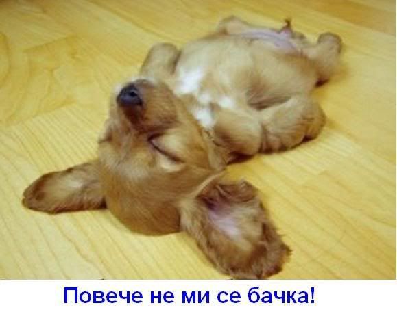 Качена снимка