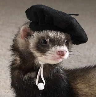 Качена снимка