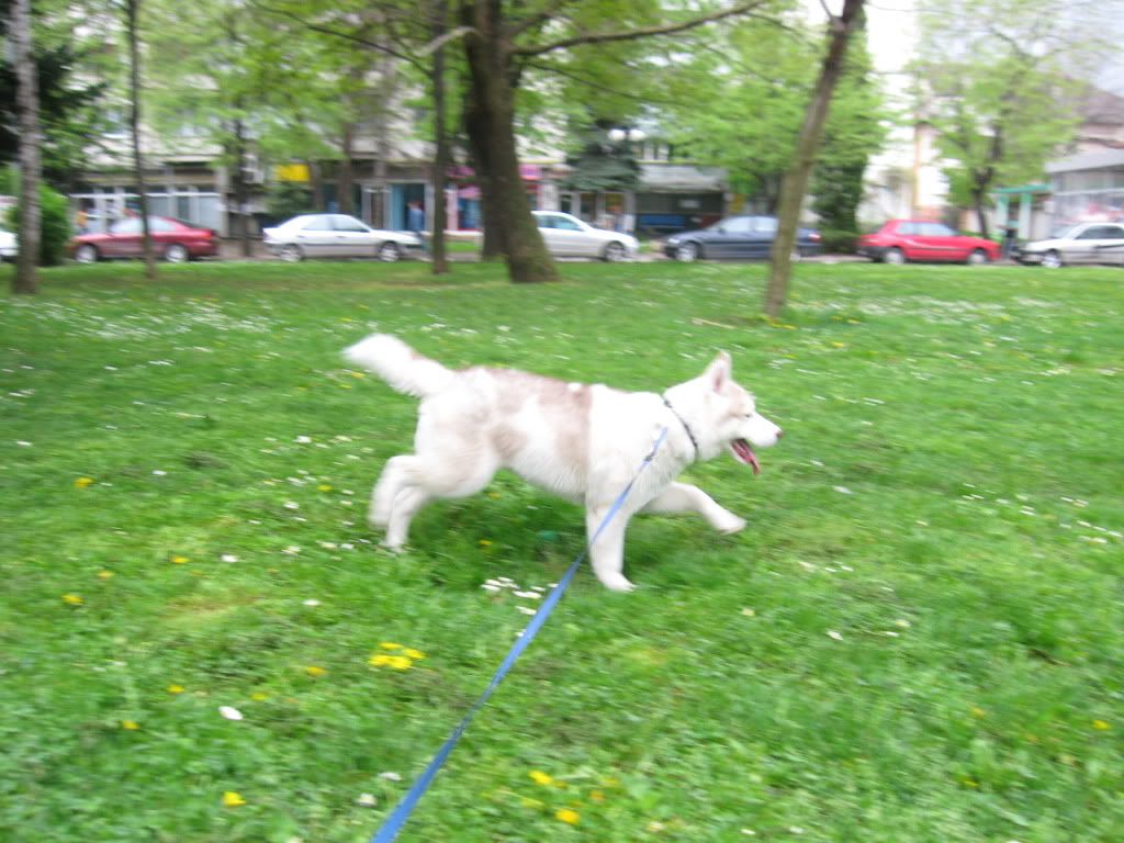 Качена снимка