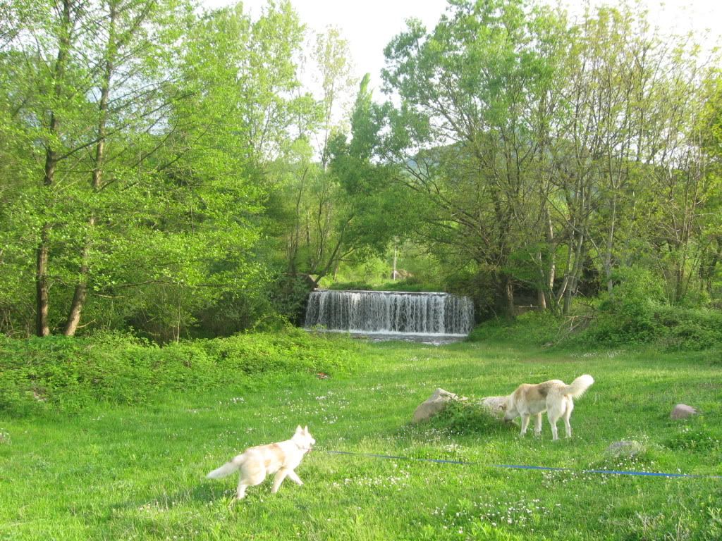 Качена снимка