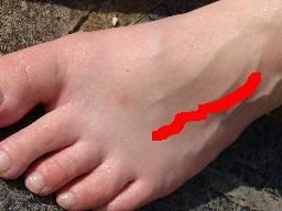 foot-feet-female-human-unpainted-toenails-nails-on-crazy-paving-closeup-1-DHD.jpg