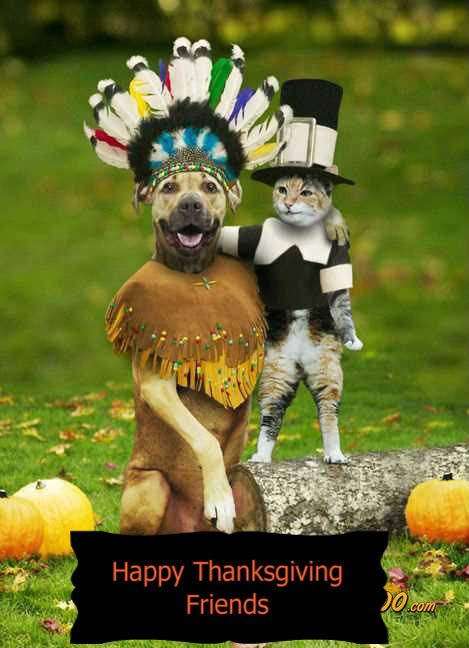 thanksgiving Pictures, Images and Photos