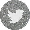  photo twitter2silverroundsocialmediaicon.png