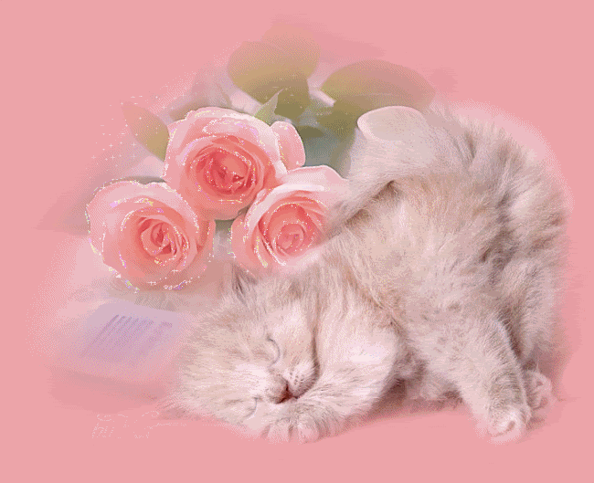 kittenpinkgitterroses.gif kitten pink glitter roses image by Pamelia_and_Stormi_SongBird