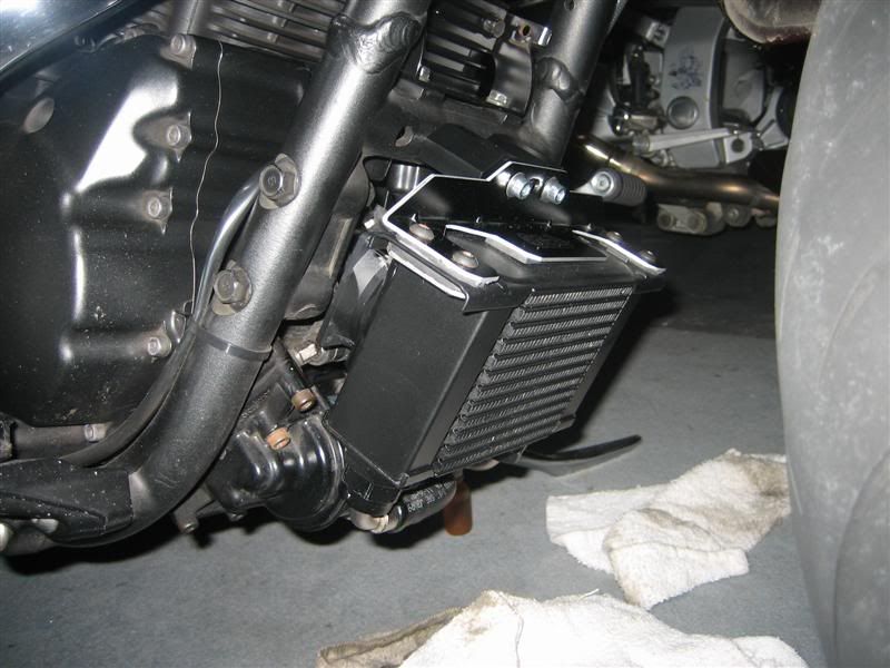 Oil Cooler Road Star Warrior Forum Yamaha Star Warrior Forums