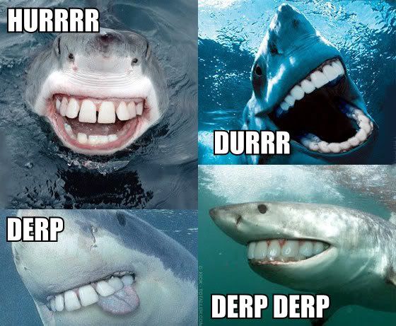 shark_derp_durr_hurr-1.jpg
