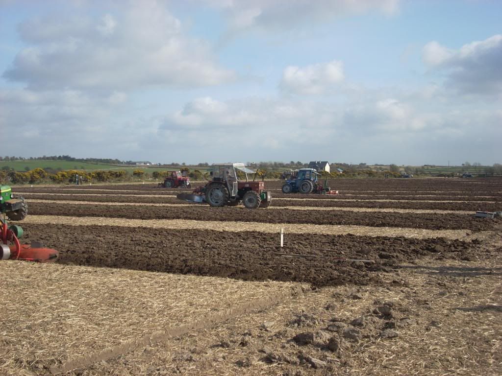 countyploughing013.jpg