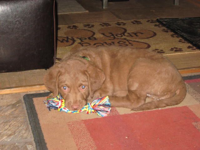 Darby1-28-12004-1.jpg