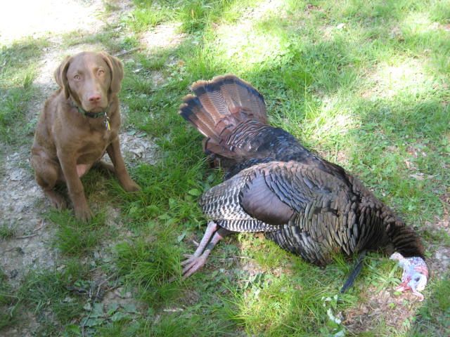 Darby4-25-12032.jpg