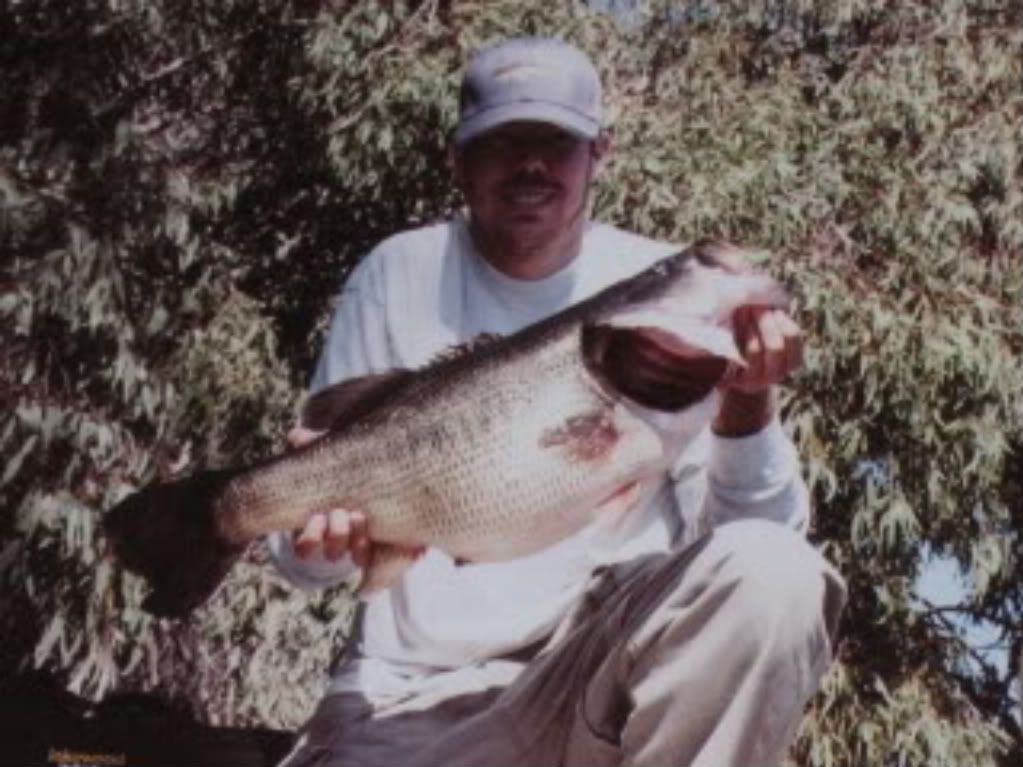 1308bass.jpg