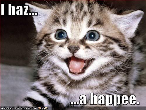 Happiecat.jpg