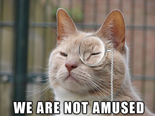 NotAmused.jpg