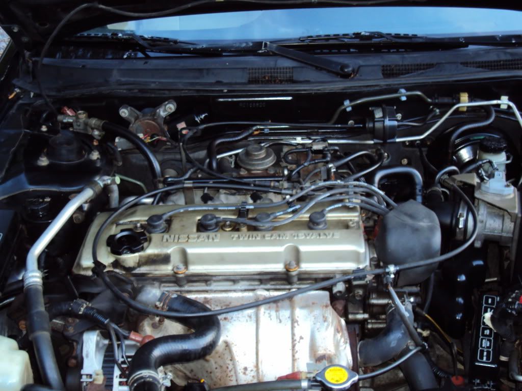 16 Valve twin cam nissan #6