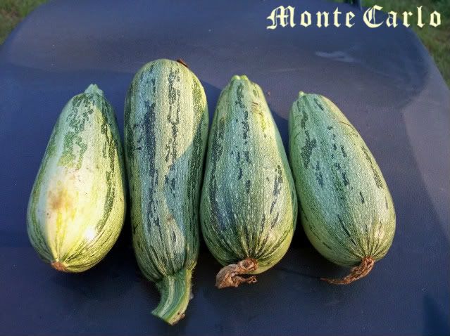 Monte Carlo 1 photo MonteCarlo2.jpg