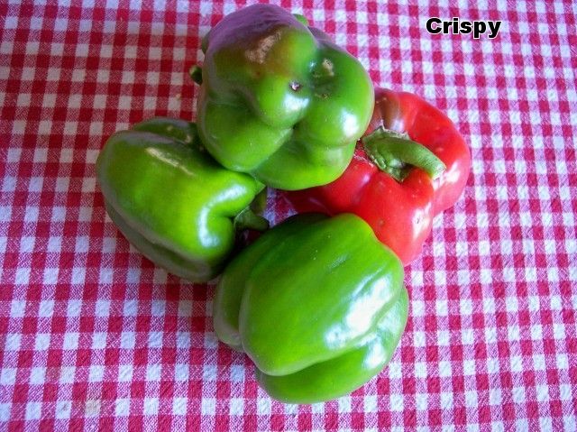 Crispy photo Crispi1.jpg