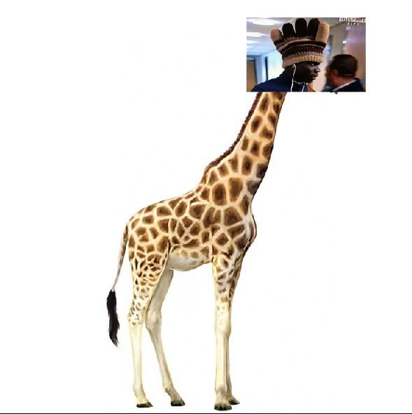 Giraffeotelli.jpg