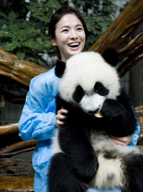 Panda ambassador Song Hye-gyo