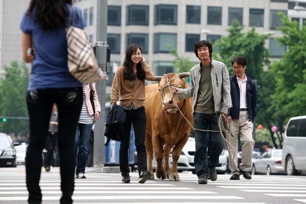 Gong Hyo-jin in Rolling Home With a Bull