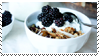 photo food.png