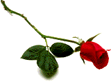long-stem-red-rose.gif picture by Sir_cazador
