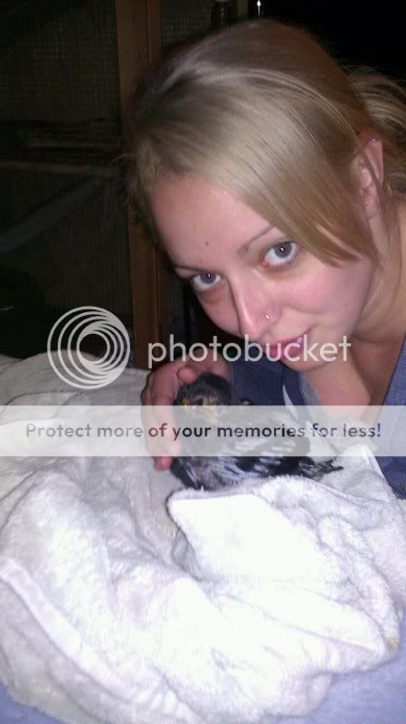 Photobucket