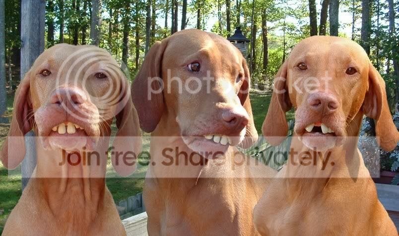 3Sisters.jpg