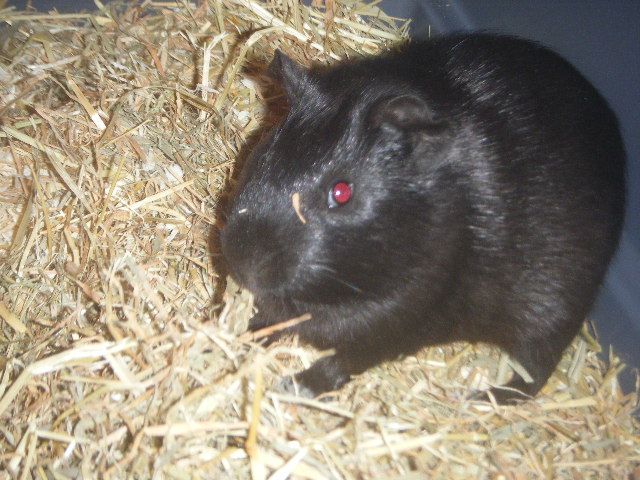 DSCF5758.jpg