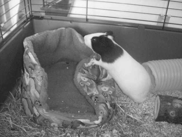 DSCF5928.jpg